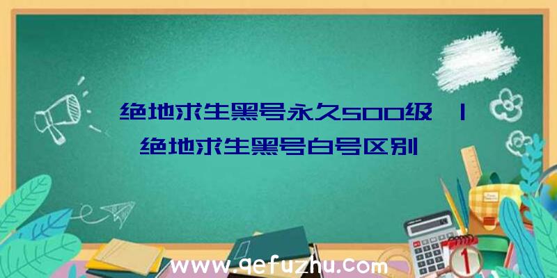 「绝地求生黑号永久500级」|绝地求生黑号白号区别